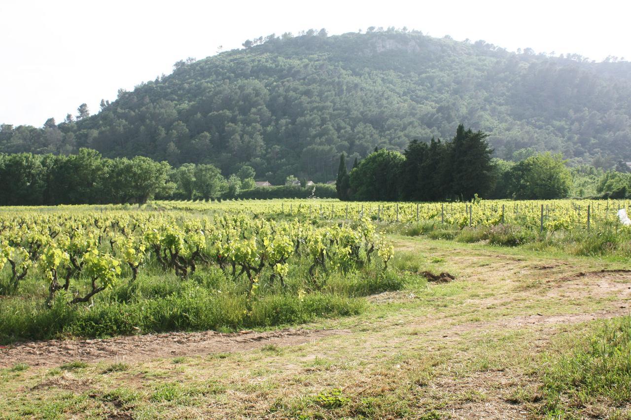 Domaine Regis Freres Bed & Breakfast Vidauban Exterior photo